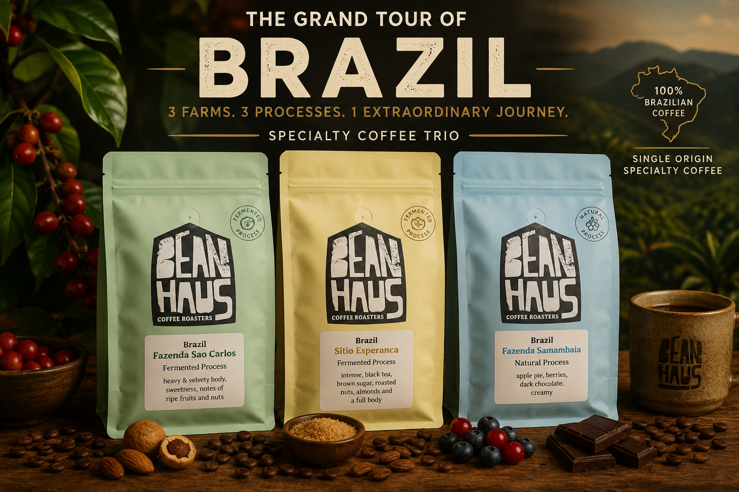 Brazil Terroir Trilogy