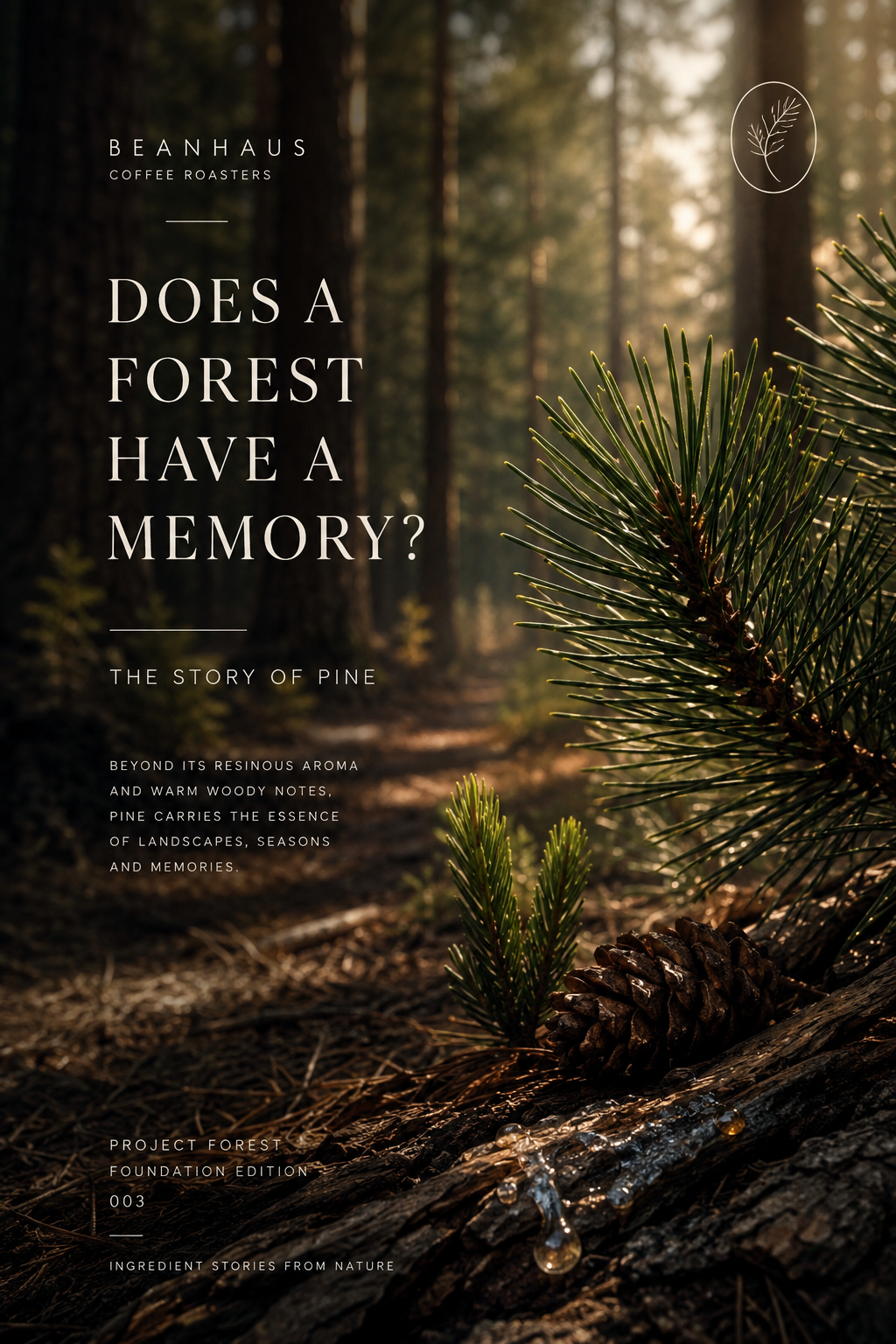 Does a Forest Have a Memory?