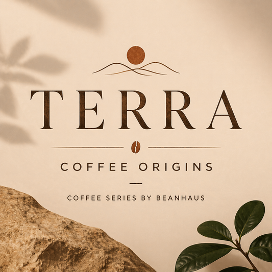 Coffee Soil Types Explained: How Terroir Shapes Coffee Flavor