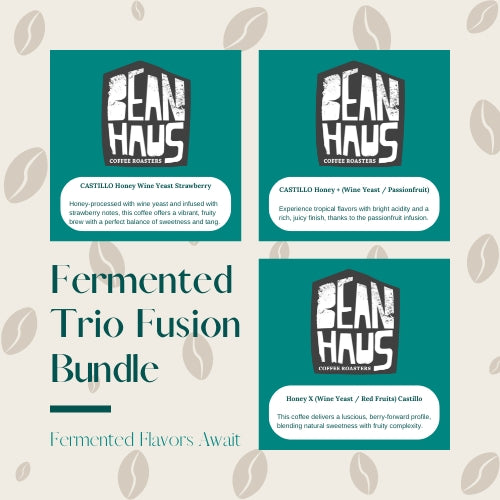 Fermented Trio Fusion Bundle + Free 02 V60 Hario Filters