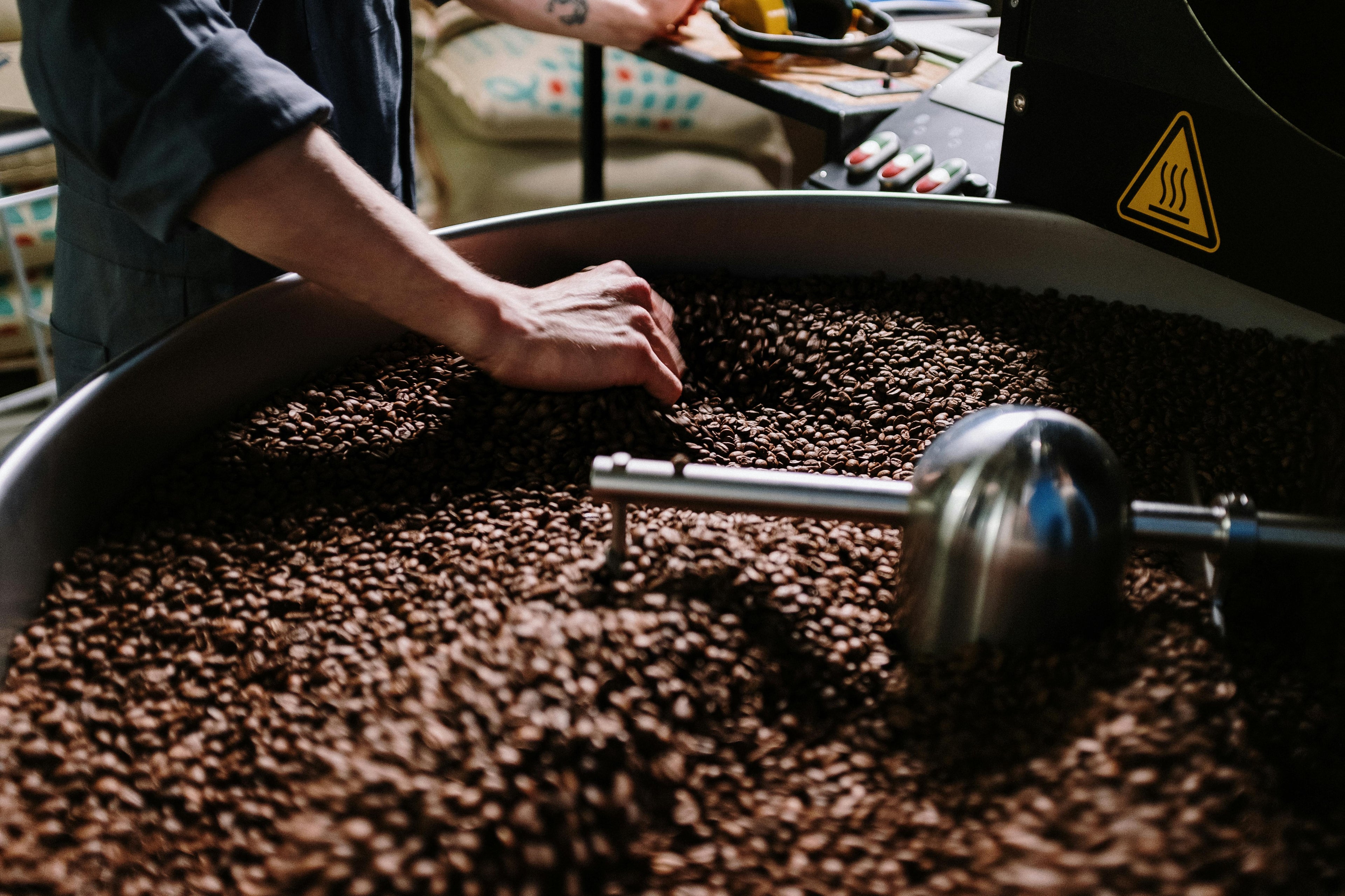 Discover the Essence of Specialty Coffee - BeanHaus Coffee Roasters Cyprus