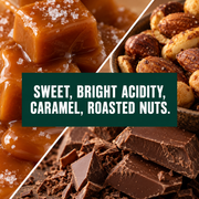 Colombia Excelso tasting notes hover image