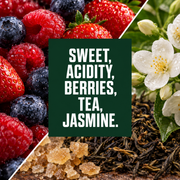 Ethiopia Sidamo tasting notes hover image
