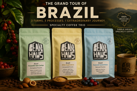 Brazil Terroir Trilogy